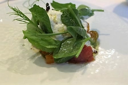 Burrata